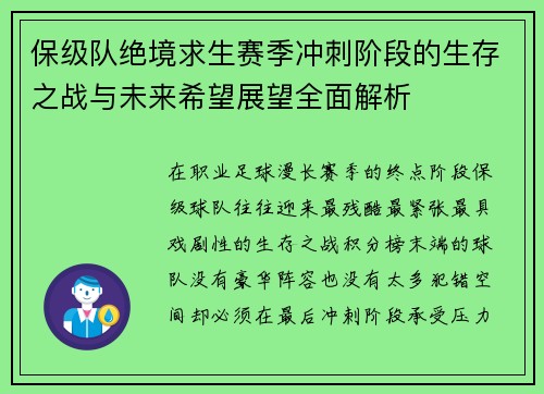 保级队绝境求生赛季冲刺阶段的生存之战与未来希望展望全面解析
